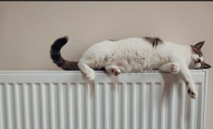 The Most Cost Effective Ways To Heat Your Home This Winter